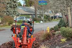 IMG-20251129-WA0017