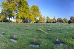 Memorial Day - 2025