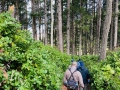 Imports - 73 of 212