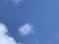 flying