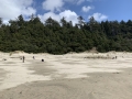 rodbeach