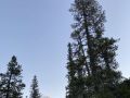 IMG_9500