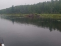 20190805_094821