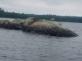 20190807_083149