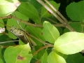 20190807_165901
