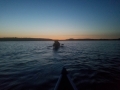 20190808_050808