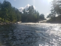 20190808_095525