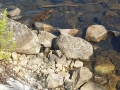 20190809_162704