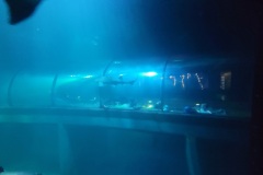 20250222_070552