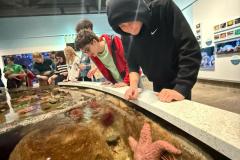 IMG-20250222-WA0025