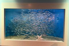 IMG-20250222-WA0026