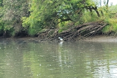 WhatsApp-Image-2025-09-07-at-19.36.16_3f9ea7d0