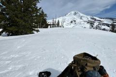IMG-20250405-WA0005