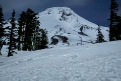 IMG-20250406-WA0035