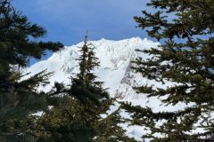 IMG-20250406-WA0040