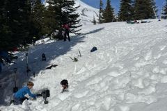 IMG-20250406-WA0042