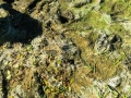 IMG_4191