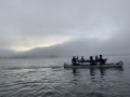 IMG_8218
